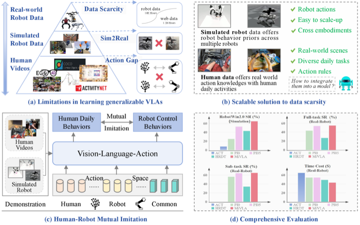 Overview of human-robot mutual imitation in MiVLA