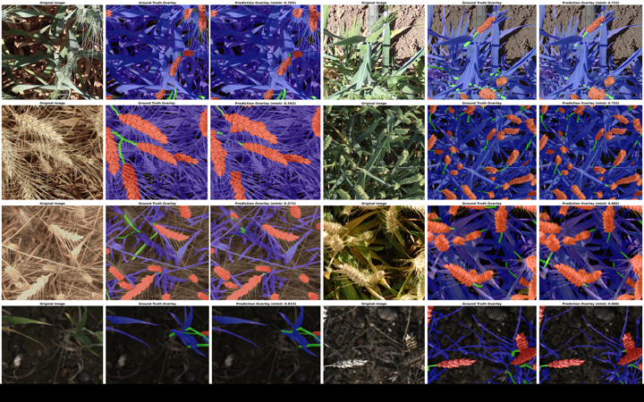 Method and qualitative results for wheat-head semantic segmentation